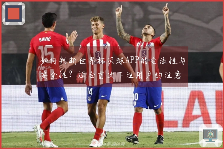 如何判断世界杯买球APP的合法性与安全性？适合首次下注用户的注意事项